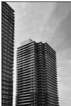 NIKON D5600 - Coloriage - 7