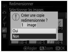 NIKON D5600 - Enregistrez les copies redimensionnées. - 1