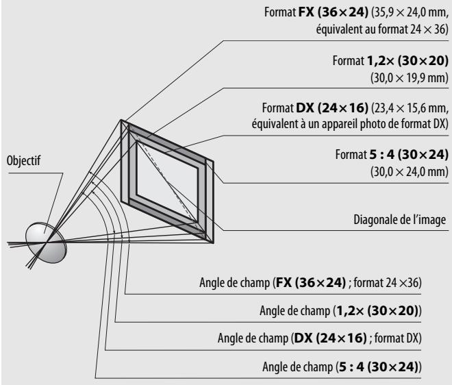 NIKON D5600 - Calcul de I'angle de champ - 1