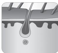 BABYLISS IPL HOMELIGHT SENSOR G960E - Ciclo di crescita del pelo - 7