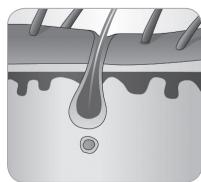 BABYLISS IPL HOMELIGHT SENSOR G960E - Tüylerin büyüme döngüsü - 7