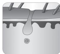 BABYLISS IPL HOMELIGHT SENSOR G960E - Ciclo de crecimiento del pelo - 8