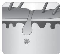 BABYLISS IPL HOMELIGHT SENSOR G960E - Tüylerin büyüme döngüsü - 8