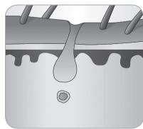BABYLISS IPL HOMELIGHT SENSOR G960E - Hair growth cycle - 8