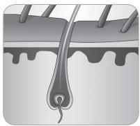 BABYLISS IPL HOMELIGHT SENSOR G960E - Hair growth cycle - 6