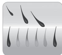 BABYLISS IPL HOMELIGHT SENSOR G960E - Ciclo de crecimiento del pelo - 4