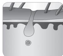 BABYLISS IPL HOMELIGHT SENSOR G960E - Der Wachstumszyklus des Haars - 7