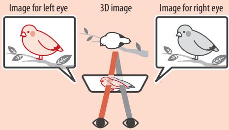 NINTENDO 6 - Viewing and Adjusting the 3D Image - 1