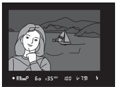 NIKON D7500 - Mémorisez l'intensité du flash. - 4
