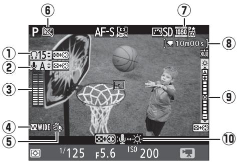 NIKON D7500 - Affichage en mode de visée écran : visée écran vidéo - 1