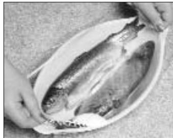 PANASONIC NNDF383BEPG - Fish - 2