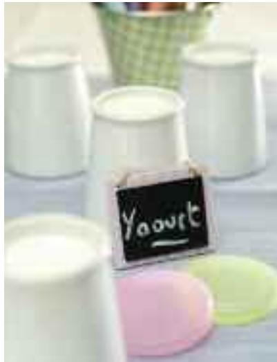 MAGIMIX COOK EXPERT 18900  -  18903 -  18904 - Yaourts - 8