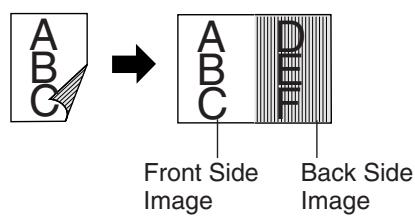 PANASONIC FP-7113 - Double Exposure - 1
