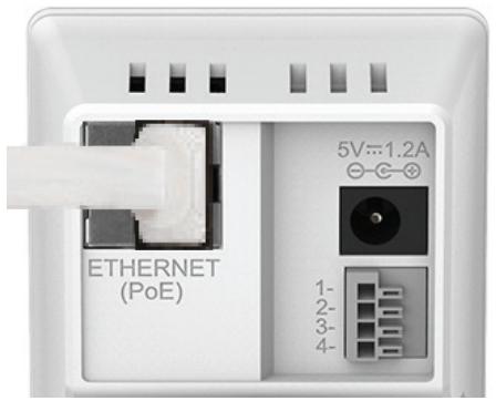D-LINK 1008D - Connexion du cable Ethernet - 1