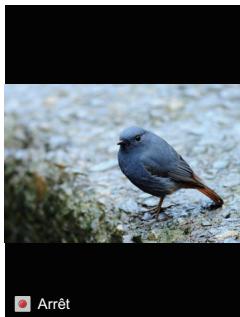 KODAK SP1 PACK EXPLORER - Diaporama - 2