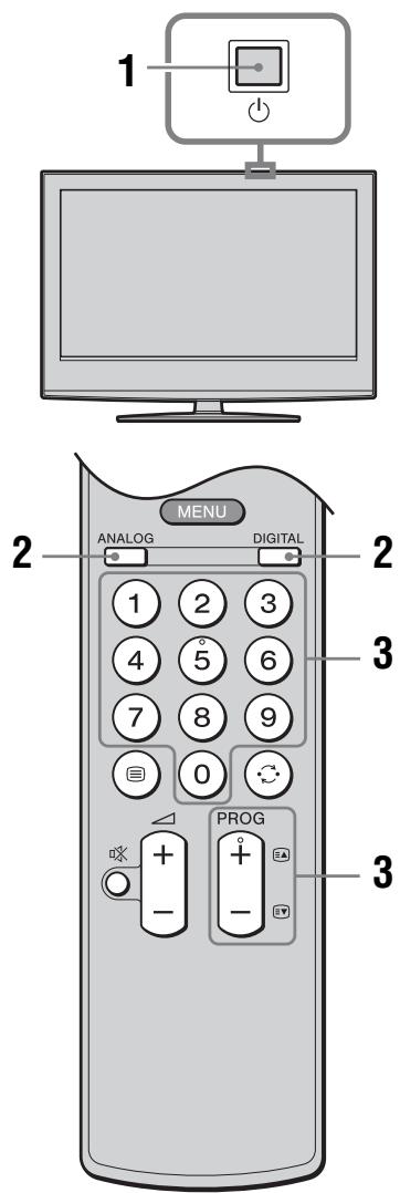 SONY RM-ED054 - Watching TV - 1