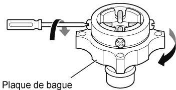 Plaque de bague