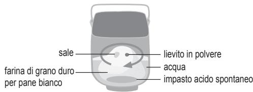 PANASONIC 2522 - FASE 2 Comefare l'impasto del panea lievitazione naturale - 2