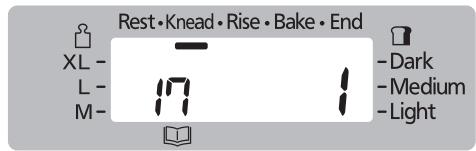 PANASONIC 2522 - Baking Rustic Scone - 9