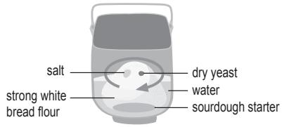 PANASONIC 2522 - Store the sourdough starter in the fridge - 2