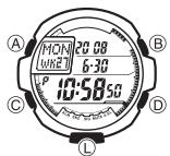 CASIO 3095 - A propos de ce mode d'emploi - 1
