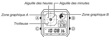 CASIO 3571 - Zones graphiques - 1