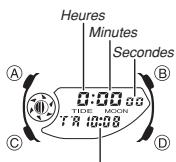 CASIO 3796 - Minuterie de compte à rebours - 1