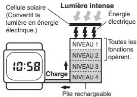 CASIO 5161 - Exposez la montre à une lumière intense - 4
