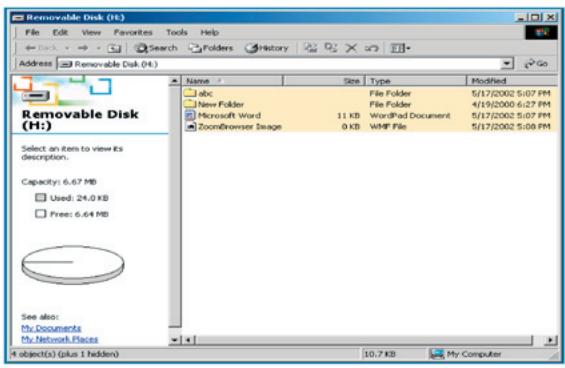 BELKIN MÉMOIRE FLASH USB 2.0 #F5U126 - Using the Software (Belkin U-Storage) On Windows Platform - 2