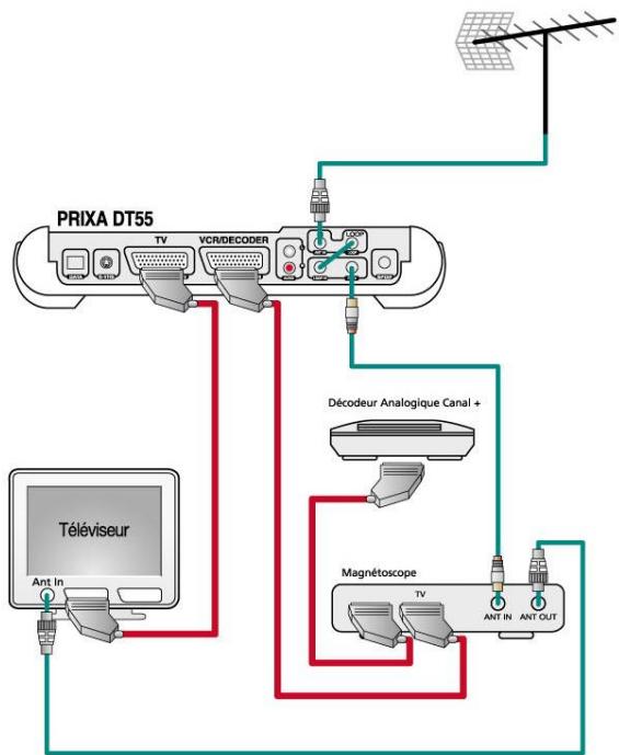 ASTON PRIXA TNT T50 - Branchements du PRIXA DT55 - 1