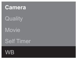 MINOX DCM 5.0 - Adjusting the White Balance (WB) - 1