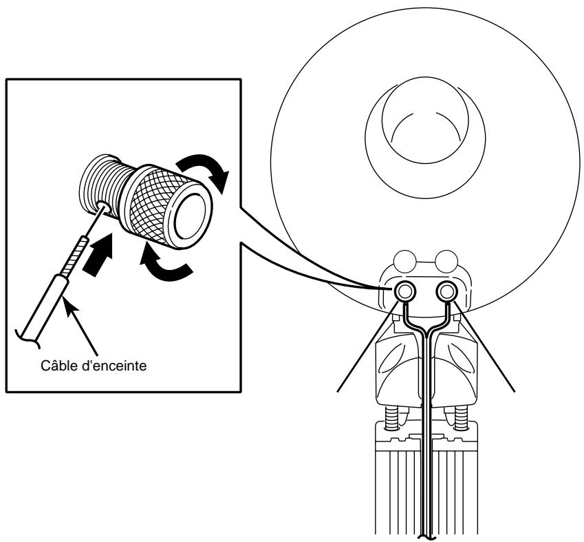 ECLIPSE TD712Z - Nom et fonction des pieces/Connexions - 1