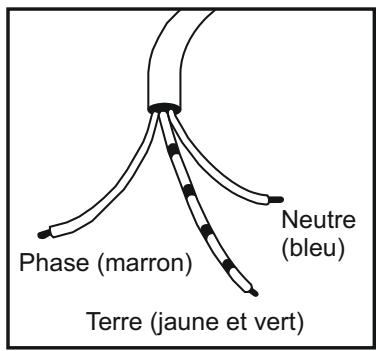 CANDY CCG6503PW - CUISINIERE LIVREE AVEC CORDON D'ALIMENTATION - 1