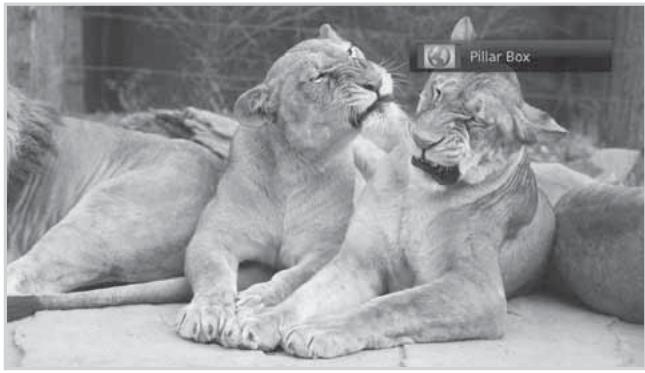 HUMAX E0773 - Setting Display Format - 1