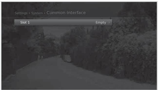 HUMAX E0773 - Common Interface - 1