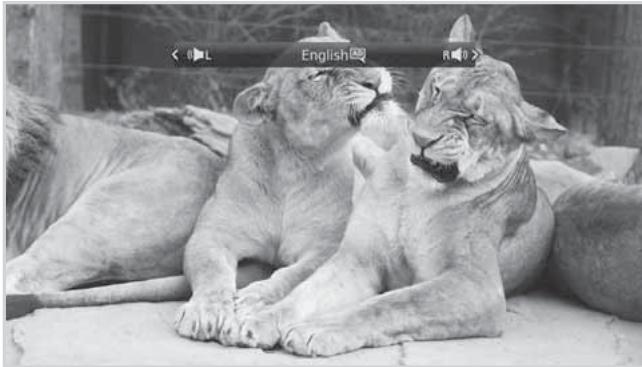 HUMAX 5301 - Note: - 1