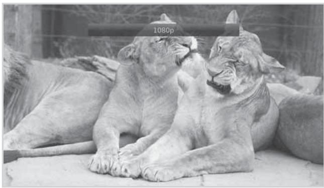 HUMAX 5301 - Setting Resolution - 1