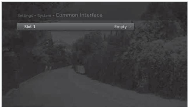 HUMAX 5301 - Common Interface - 1