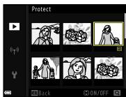 NIKON P950 - Protect - 2