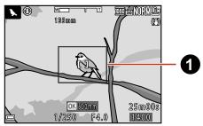 NIKON P950 - Frame a bird in the framing border (1). - 1