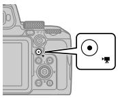 NIKON P950 - Recording movies - 1