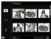 NIKON P950 - Protect - 1