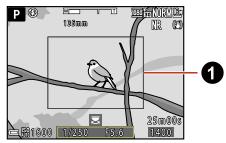 NIKON P950 - Using the snap-back zoom (temporarily widening the visible range) - 2