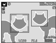 NIKON P950 - Focus area - 1