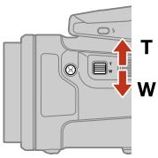 NIKON P950 - Using the side zoom control - 1