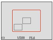 NIKON P950 - Using target finding AF - 2