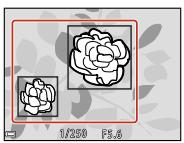 NIKON P950 - Using target finding AF - 1