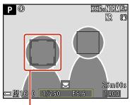 NIKON P950 - Using face detection - 1