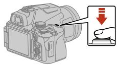 NIKON P950 - Press the shutter-release button halfway. - 1