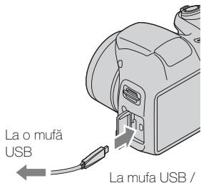 SONY CYBER-SHOT DSC-H200 - Observatji - 1
